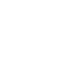 yt-icon